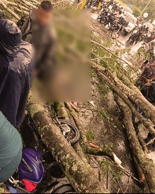 642202551_909020085370370_3838517558352344547_n