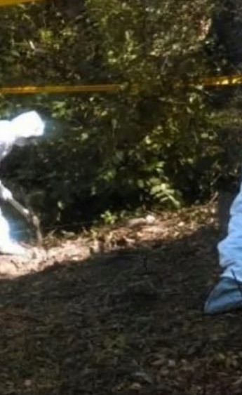 Captura de pantalla 2026-02-20 073636