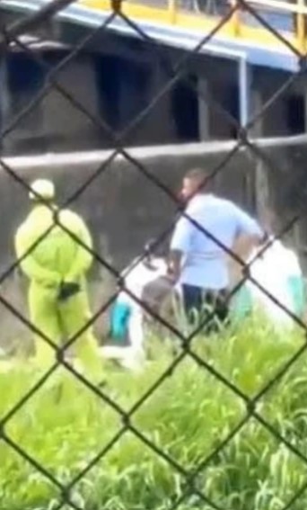 Captura de pantalla 2026-02-20 082201