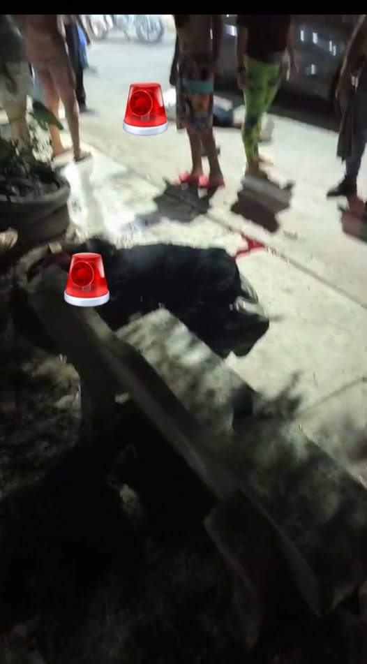 646215016_1457854695823832_95824387306242563_n