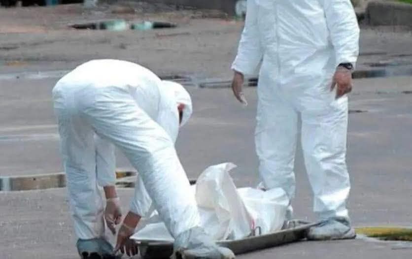 650265906_921315394140839_6735892942264231349_n