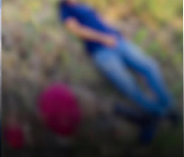 651244290_1351198137025907_525355706687714171_n